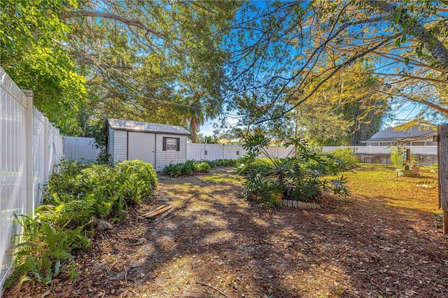 view of yard featuring a shed