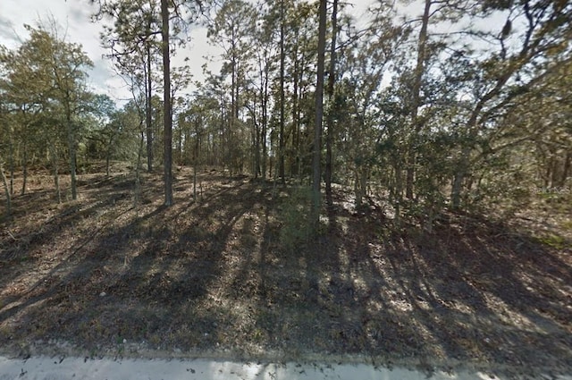 0 SE 21st Pl, Morriston FL, 32668 land for sale