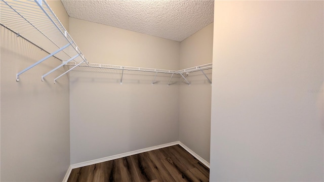 walk in closet with hardwood / wood-style floors