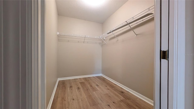 spacious closet with light hardwood / wood-style flooring