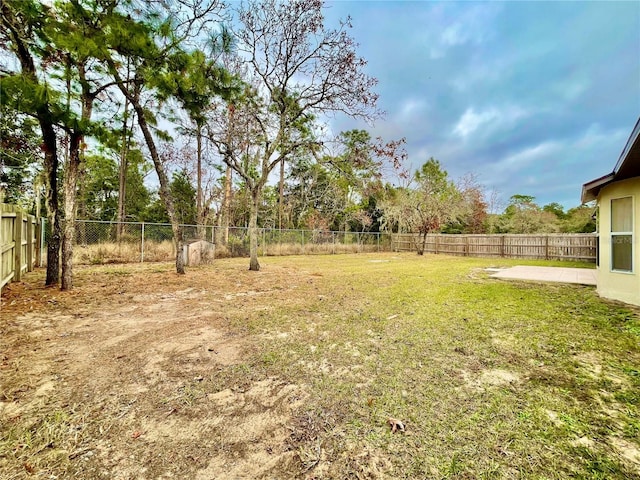 view of yard featuring a patio area