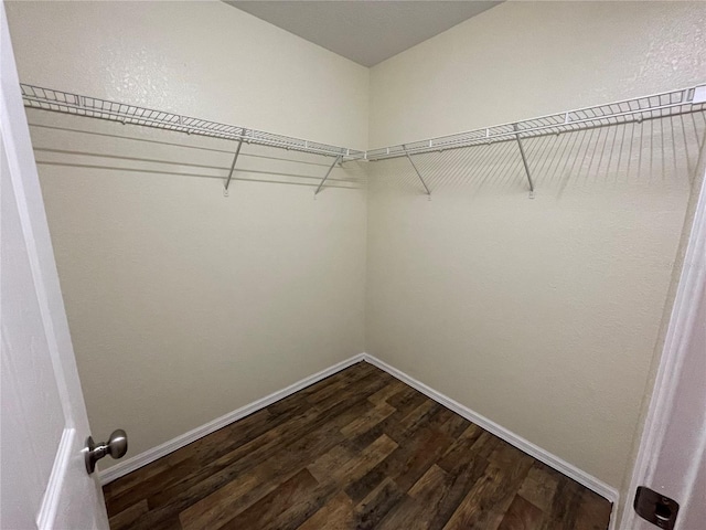 spacious closet with dark hardwood / wood-style floors