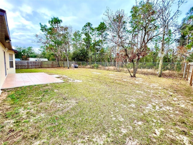 view of yard with a patio