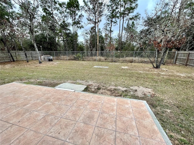 view of yard featuring a patio area