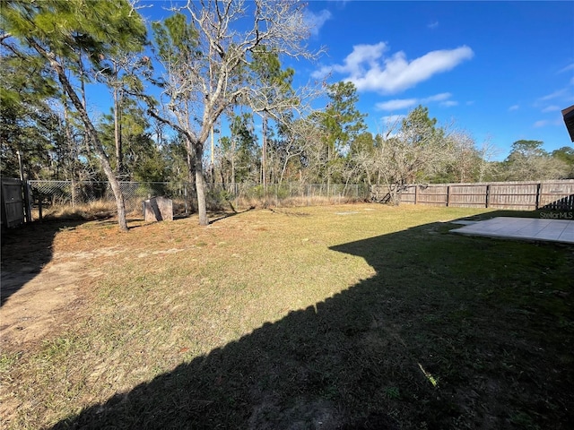 view of yard featuring a patio