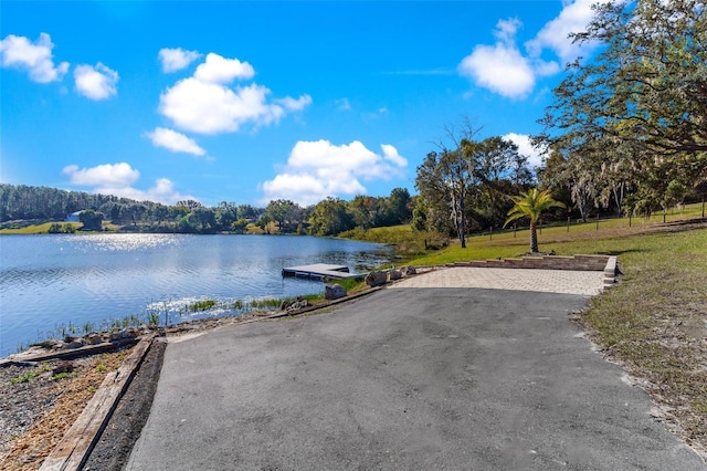 water view featuring a boat dock