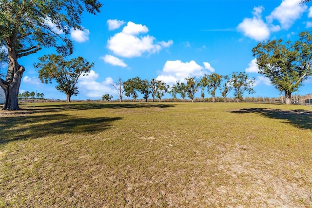 view of yard with a rural view