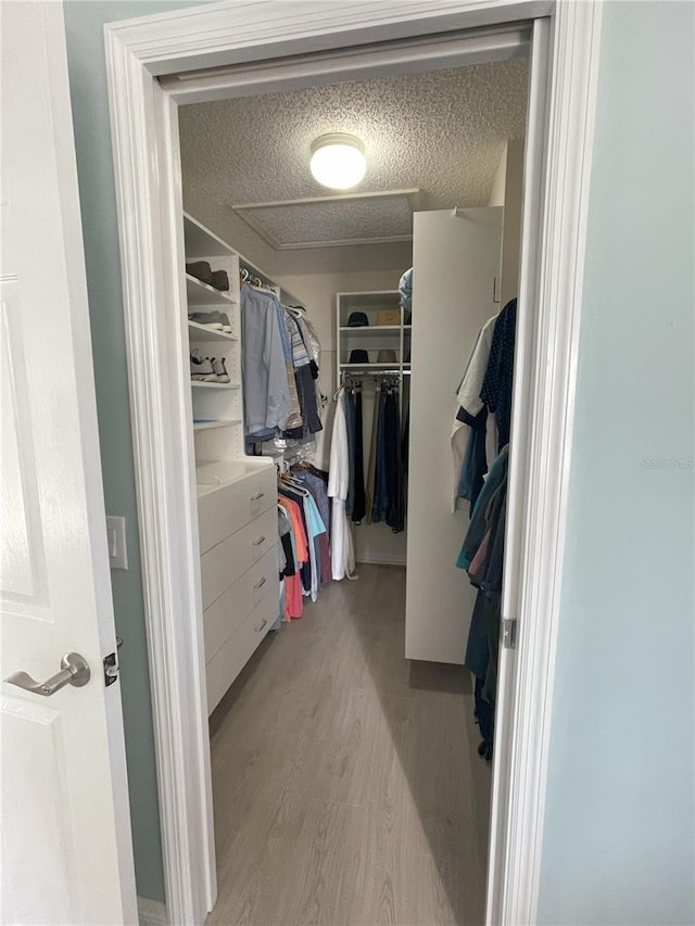 walk in closet with light hardwood / wood-style flooring