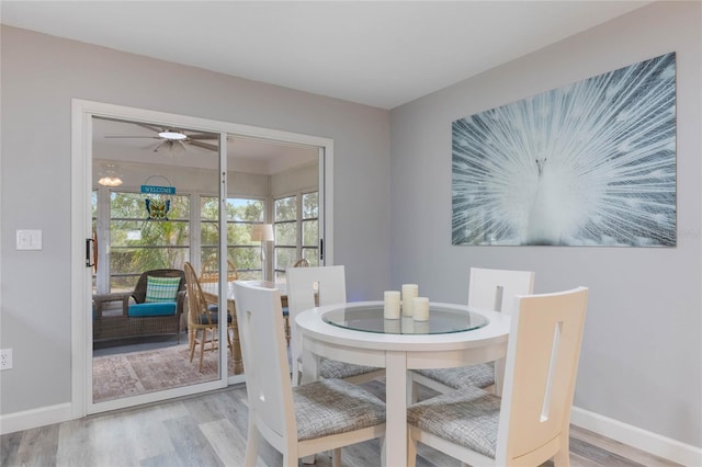 dining space with hardwood / wood-style flooring and ceiling fan