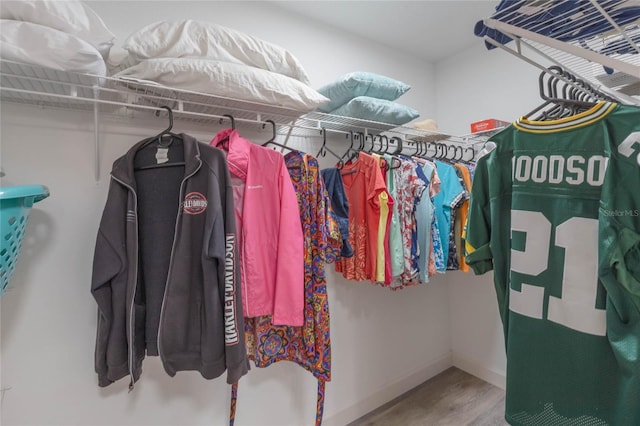 spacious closet with hardwood / wood-style flooring