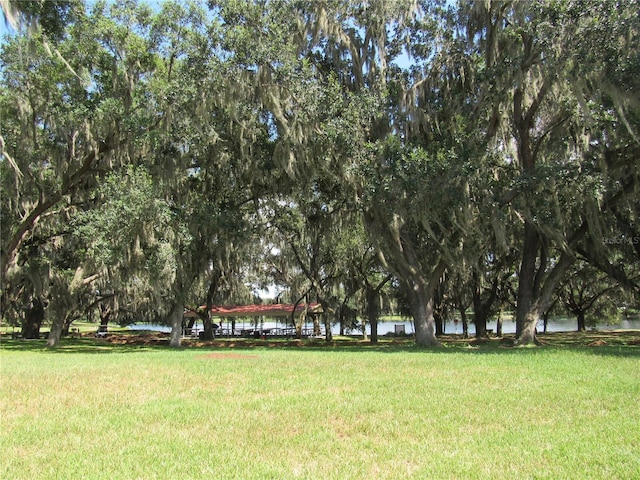 view of community with a yard and a water view