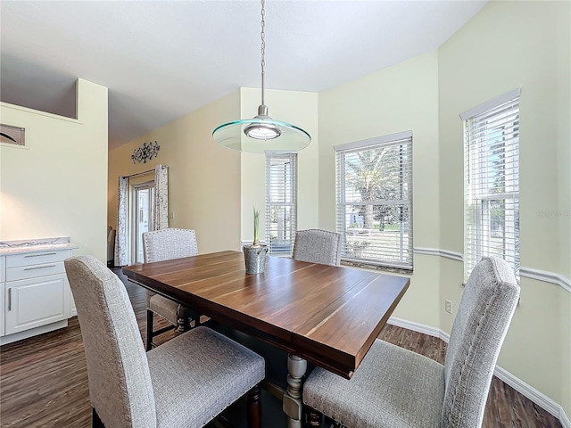 dining space featuring dark wood-type flooring