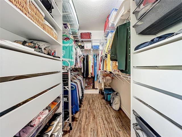 walk in closet featuring hardwood / wood-style floors