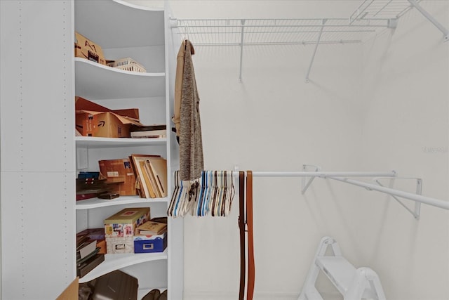 view of walk in closet