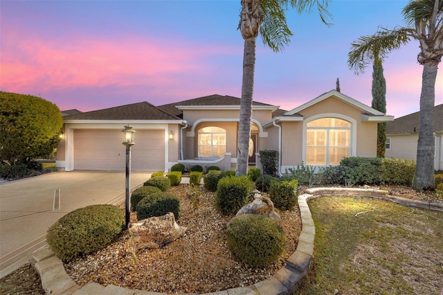 ranch-style house featuring concrete driveway, an attached garage, and stucco siding