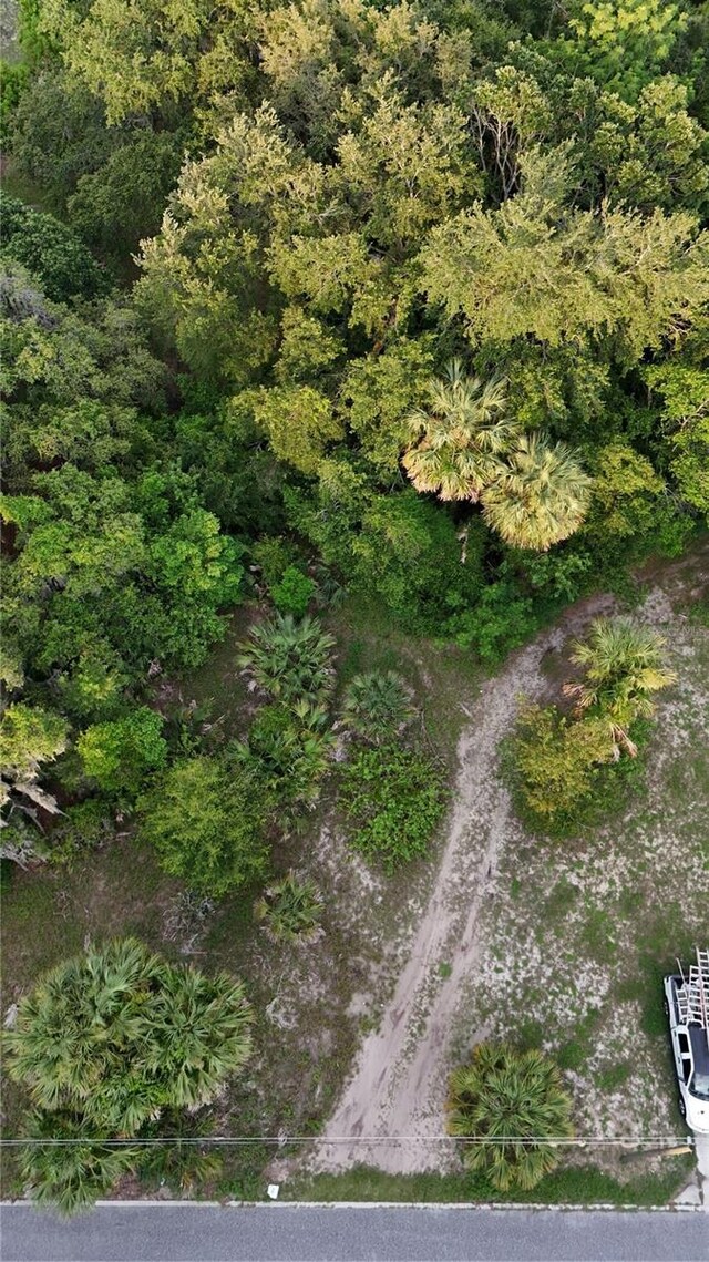 839 Summerall Ave, Tavares, FL 32778 - photo 2