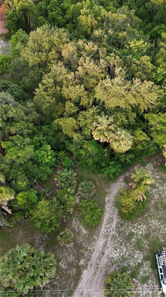 839 Summerall Ave, Tavares, FL 32778 - photo 3