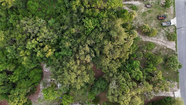 839 Summerall Ave, Tavares, FL 32778 - photo 5