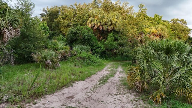 839 Summerall Ave, Tavares, FL 32778 - photo 1