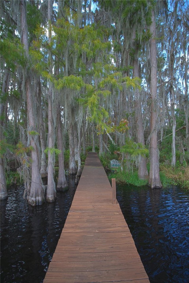 dock area featuring a water view