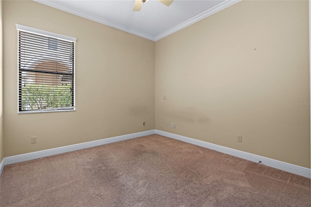 empty room featuring ornamental molding, carpet flooring, and ceiling fan