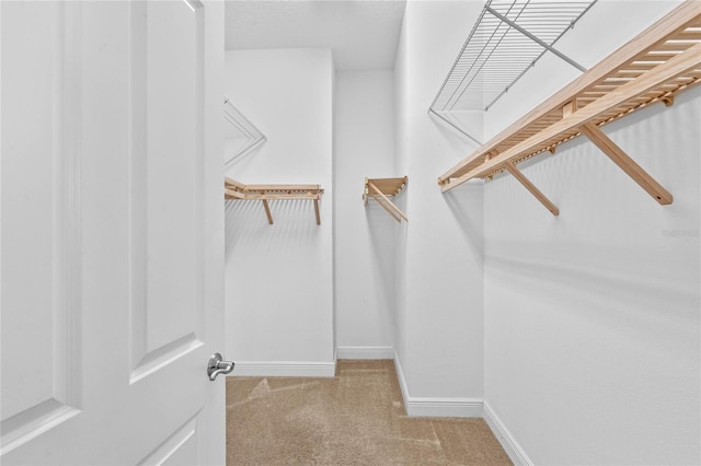 spacious closet featuring light colored carpet