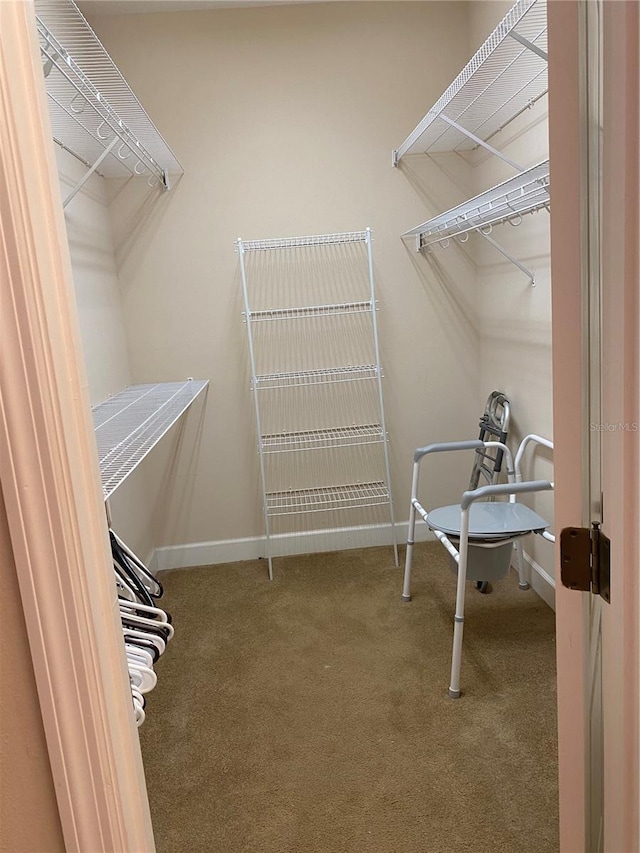 spacious closet with carpet