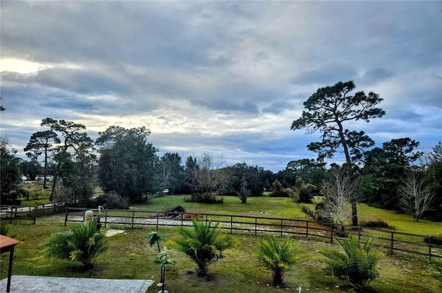 view of yard featuring a rural view