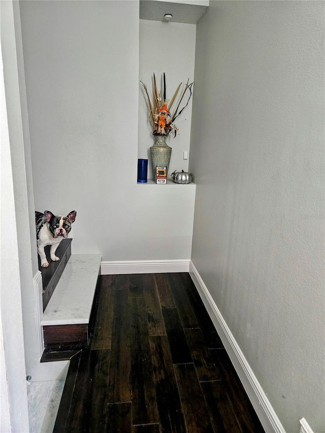 corridor featuring dark wood-type flooring