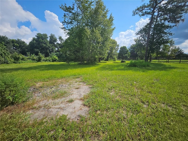 view of yard featuring a rural view