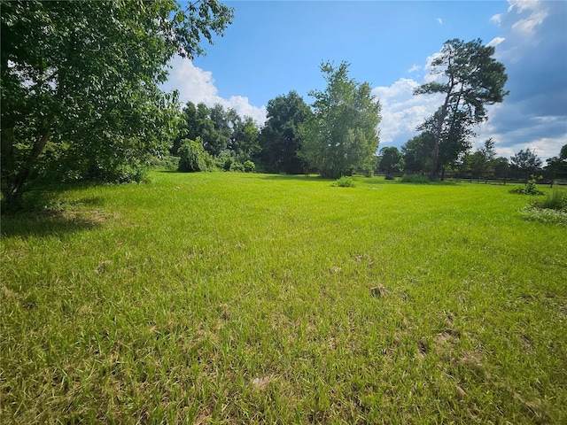 view of yard featuring a rural view