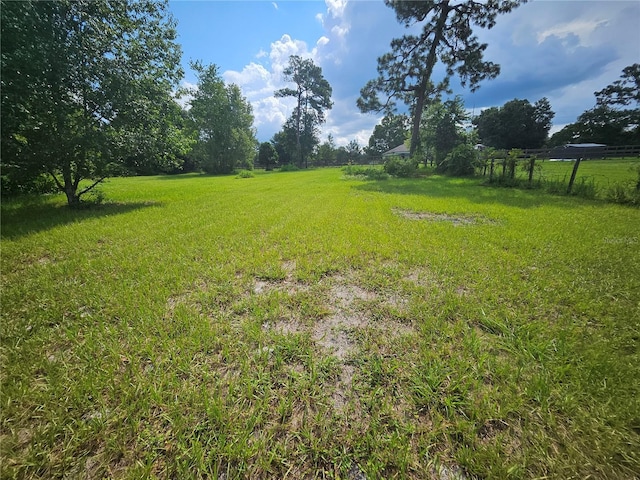 view of yard featuring a rural view