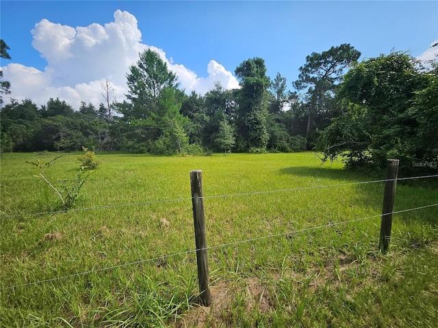 view of yard with a rural view