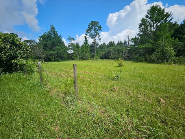 view of local wilderness with a rural view