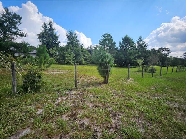 view of yard featuring a rural view