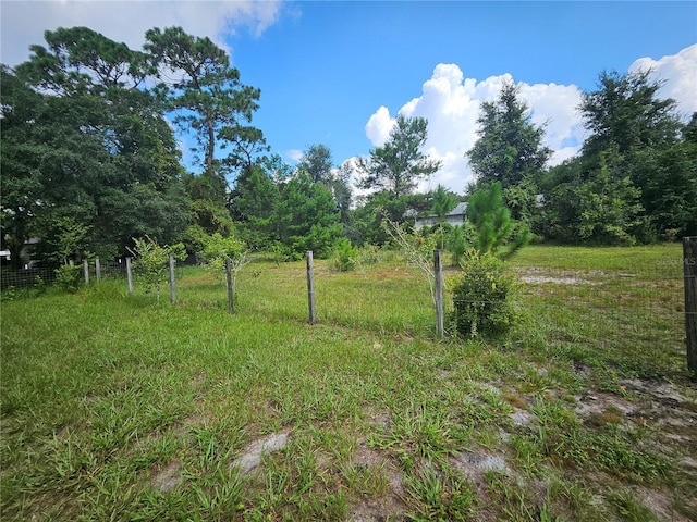 view of yard with a rural view