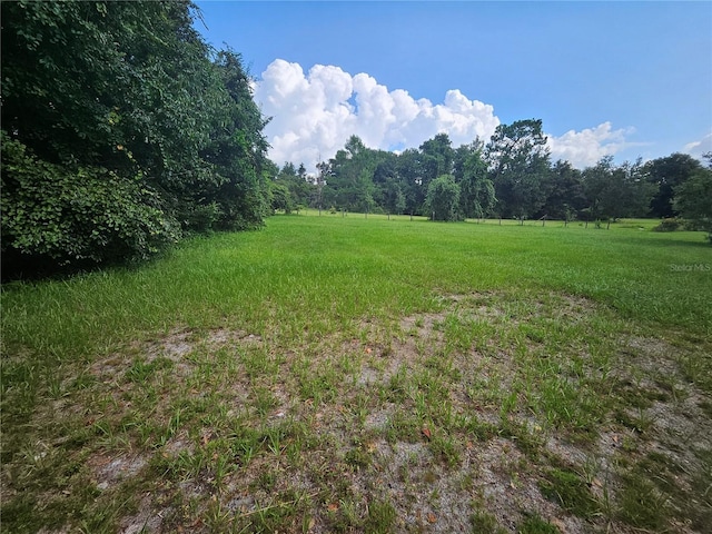 view of yard with a rural view