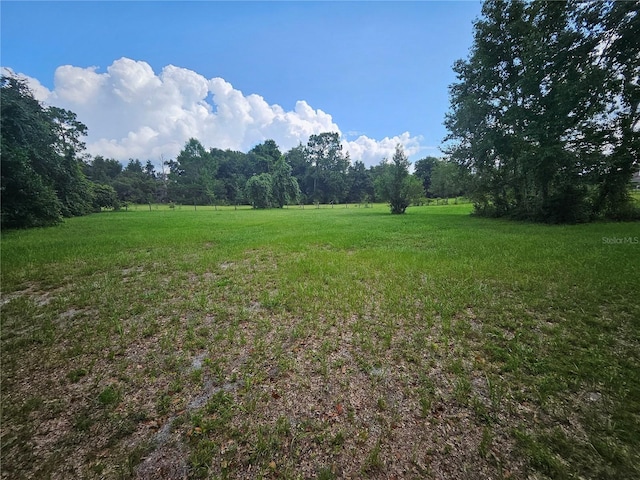 view of yard featuring a rural view