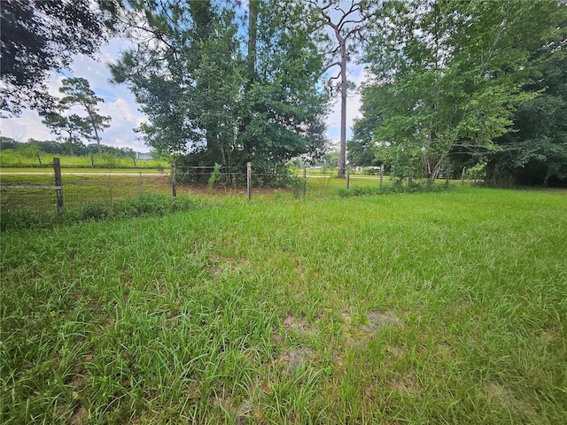 view of yard featuring a rural view