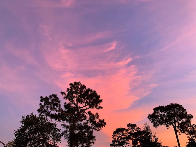 view of nature at dusk