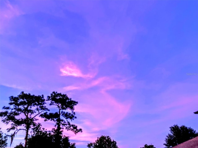 view of nature at dusk