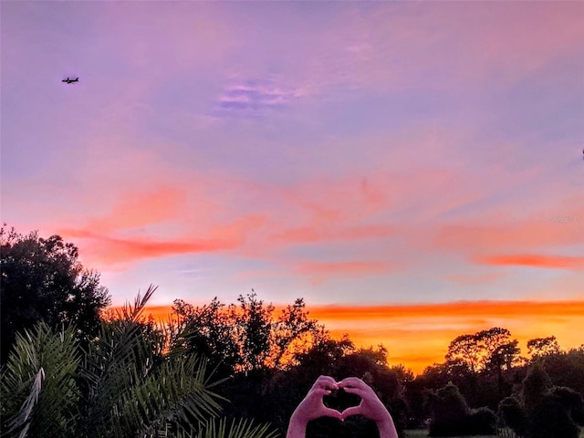 view of nature at dusk