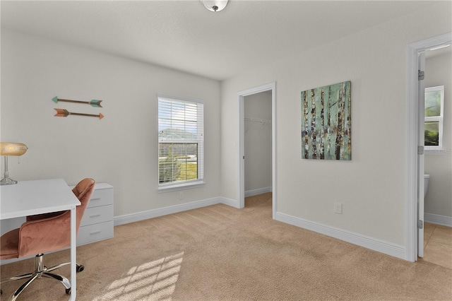 home office with light colored carpet