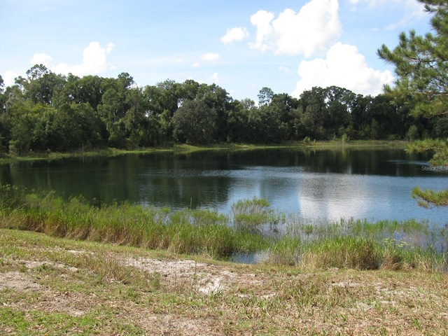 Malauka Loop, Ocklawaha FL, 32179 land for sale