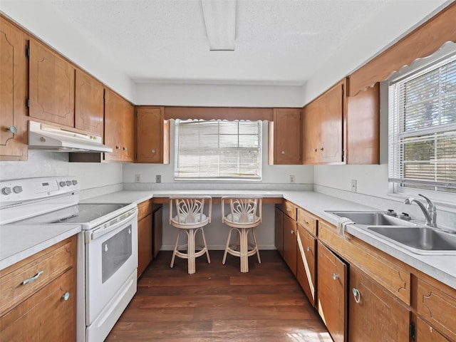 kitchen featuring sink, electric range, a textured ceiling, and dark hardwood / wood-style flooring