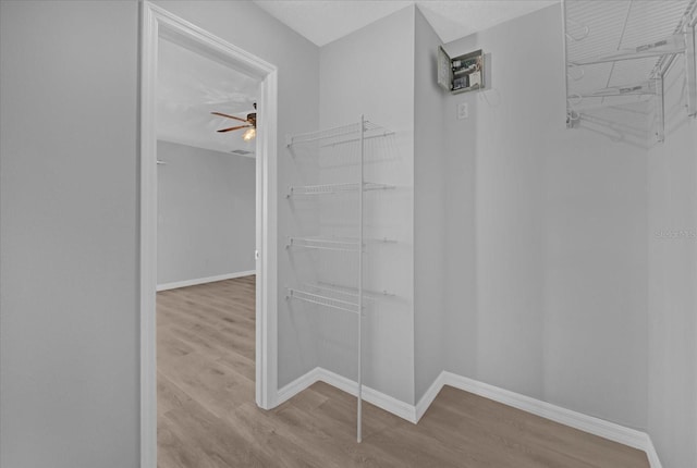 walk in closet featuring light hardwood / wood-style flooring and ceiling fan