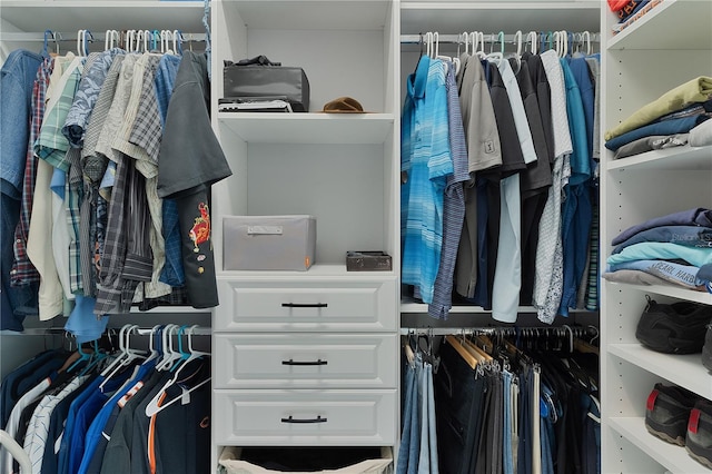 view of spacious closet