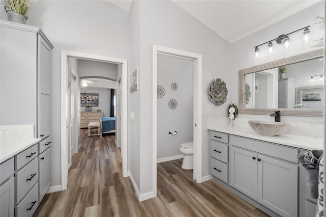 bathroom with toilet, wood-type flooring, vanity, and vaulted ceiling