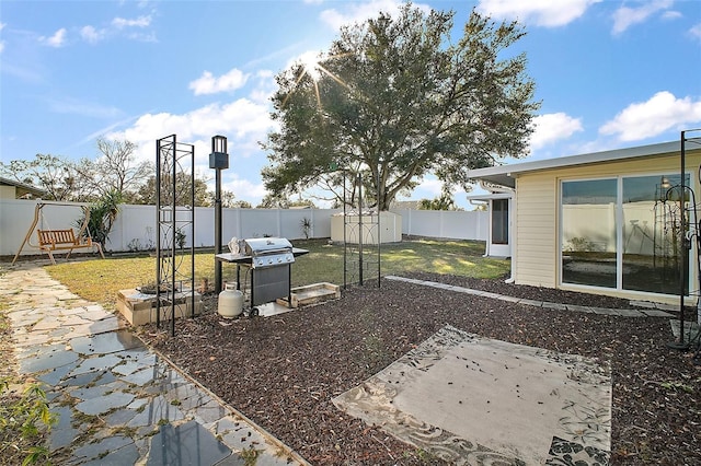 view of yard featuring a patio and a storage unit