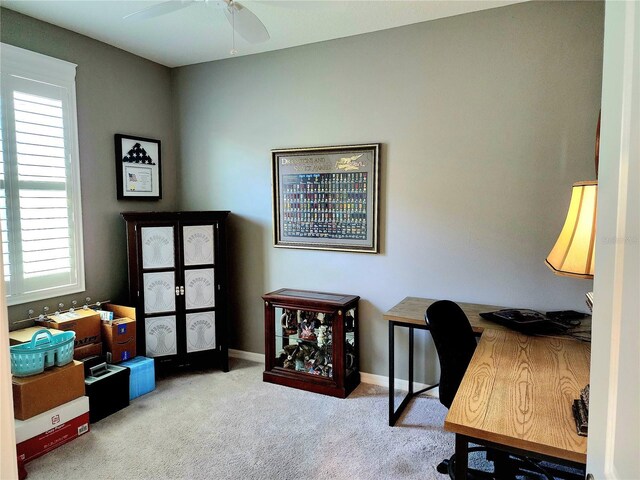 8065 Penrose Pl, Wildwood, FL 34785 - photo 19